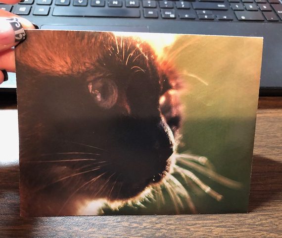 How to make envelopes using your Cricut and an old calendar!